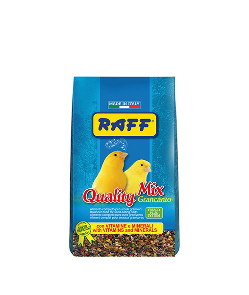 Pastoncino Holland Cova Raff | 1kg Per Uccelli Granivori | Allevamento E Muta | Gusto Uovo