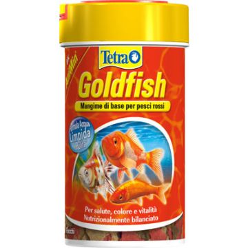 Tetra Goldfish