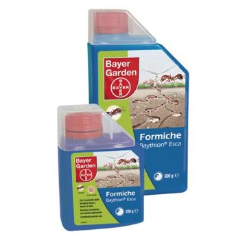 Bayer Garden Baythion Esca Formiche
