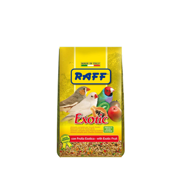 Raff Exotic con Frutta
