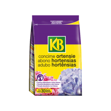 KB CONCIME ORTENSIE 800GR