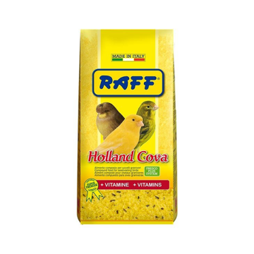 Raff Holland Cova