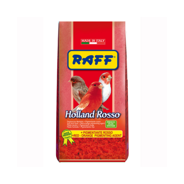 Raff Holland Rosso