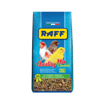 Raff Quality Mix Canarini