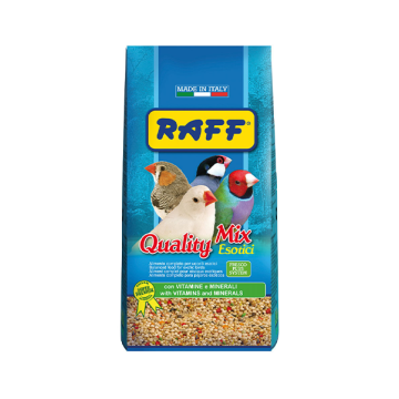 Raff Quality Mix Esotici