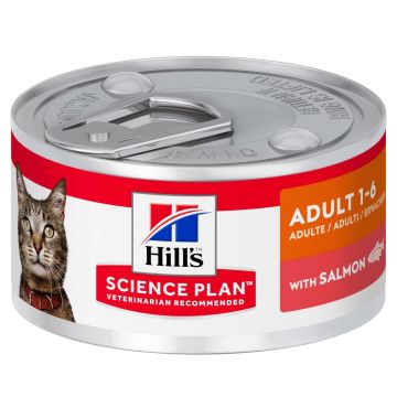 Hill's Science Plan Feline Adult Lattina Salmone 85 gr