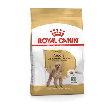 Royal Canin Barboncino 1,5kg