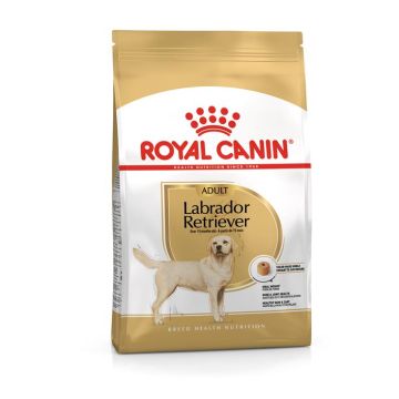 Royal Canin Labrador Retriever Adult