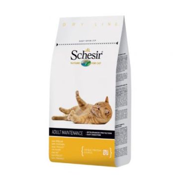 Schesir Cat Dry Mantenimento Pollo 400g.
