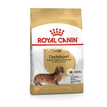 Royal Canin Bassotto 1,5kg