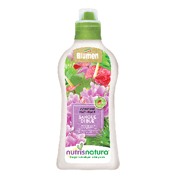 BLUMEN - SANGUE di BUE