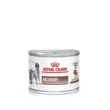 Royal Canin Recovery Cane Lattina 195gr