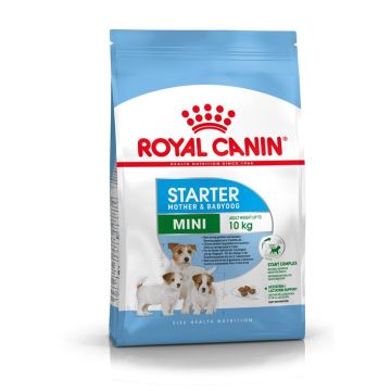 Royal Canin Mini Starter Mother & Babydog