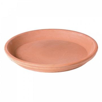 Deroma Sottovaso Idrorepellente in Terracotta White Garden