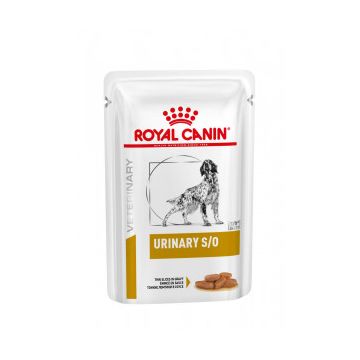 Royal Canin Urinary S/O Cane Busta 100gr