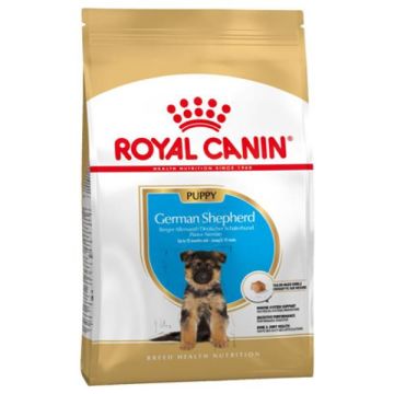 Royal Canin Pastore Tedesco Junior 12kg