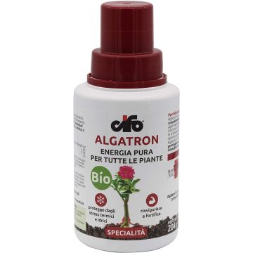 Cifo Algatron