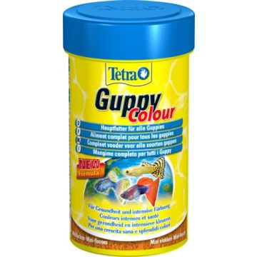 Tetra Guppy Colour 100ml