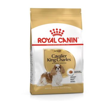 Royal Canin Cavalier King Charles 1,5kg