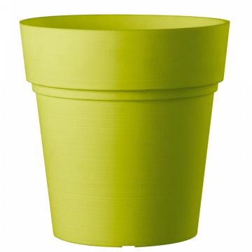 Deroma Vaso Samba 38cm Verde