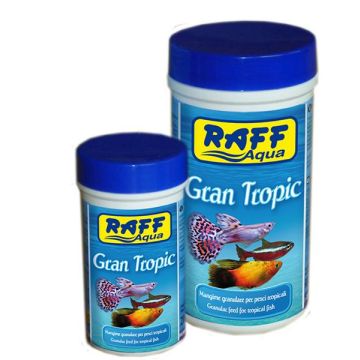 Raff Gran Tropic