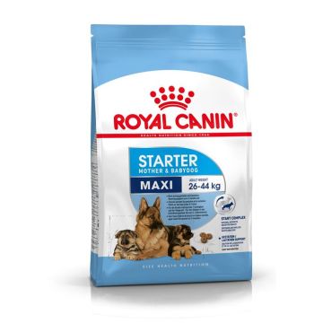 Royal Canin Maxi Starter Mother & Babydog 4kg