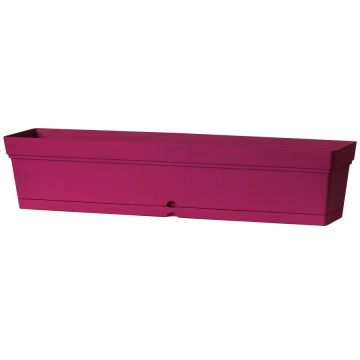 Deroma Cassetta Samba con Riserva Acqua 50cm