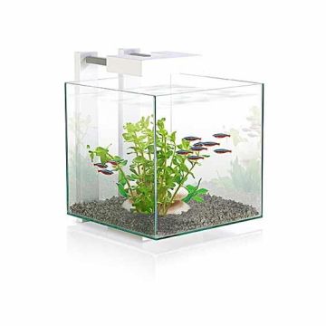 Askoll Acquario Nexus Pure Cube 14L