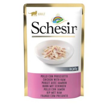 SCHESIR SOFT POLLO-PROSC. 100g