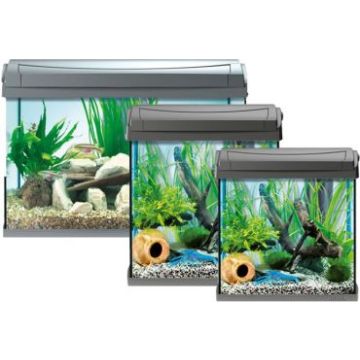 Tetra AquaArt Led - Kit Acquario