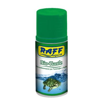 Raff Bio Turtle