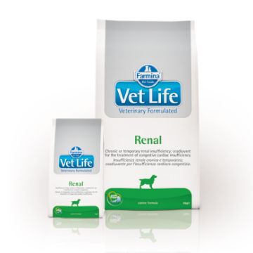 Farmina Vet Life Cane Renal 2kg