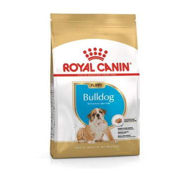 Royal Canin Bulldog Inglese Junior