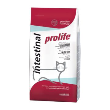 PROLIFE CAT VET INTESTINAL 500 GR