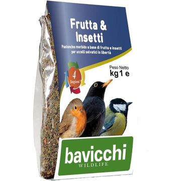 BAVICCHI - Pastoncino Frutta & Insetti Kg 1