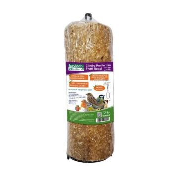 BAVICCHI - Cilindro Pronto All'Uso Frutti Rossi G 440