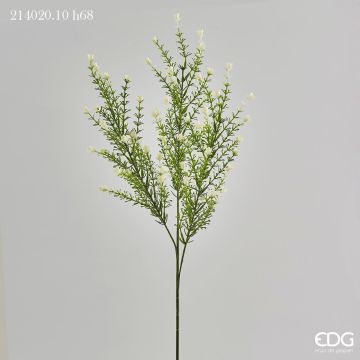EDG - LAMIACEA CHIC 