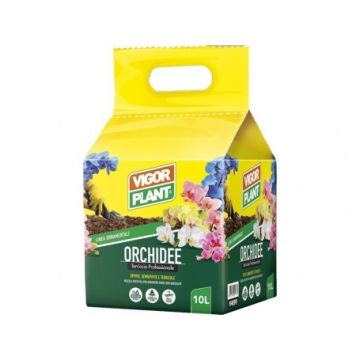 VIGORPLANT - Terriccio Orchidee 10lt