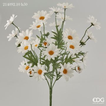 EDG - MAZZOLINO di MARGHERITA