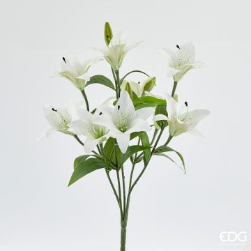 EDG - 9 LILIUM bianchi