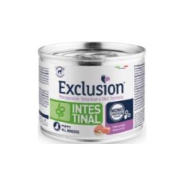 EX INTESTINAL PUPPY PORK/RICE  200 gr