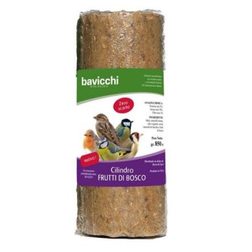 BAVICCHI - CILINDRO FRUTTI ROSSI 850gr