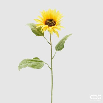 EDG - GIRASOLE