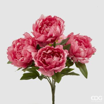 EDG - BOUQUET 5 PEONIE magenta
