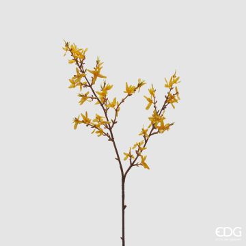 EDG - FORSIZIA giallo
