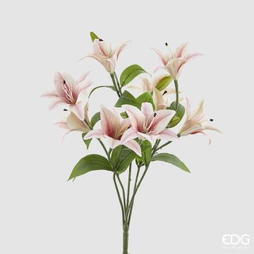EDG - 9 LILIUM rosa