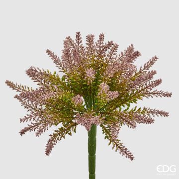 EDG - ERICA BELL mauve