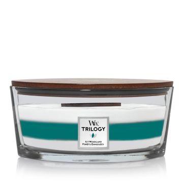 Woodwick Trilogy Candela Profumata Ellipse Jar Icy Woodland