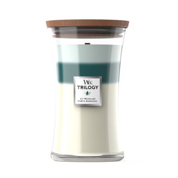 Woodwick Trilogy Candela Profumata Jar Icy Woodland