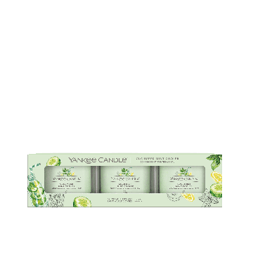 Yankee Candle Set 3 Candele Votive Cucumber Mint Cooler